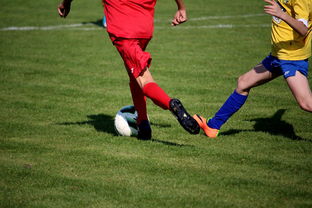 爱游戏内容中心-体育文化节活动预告，体育文化节活动流程